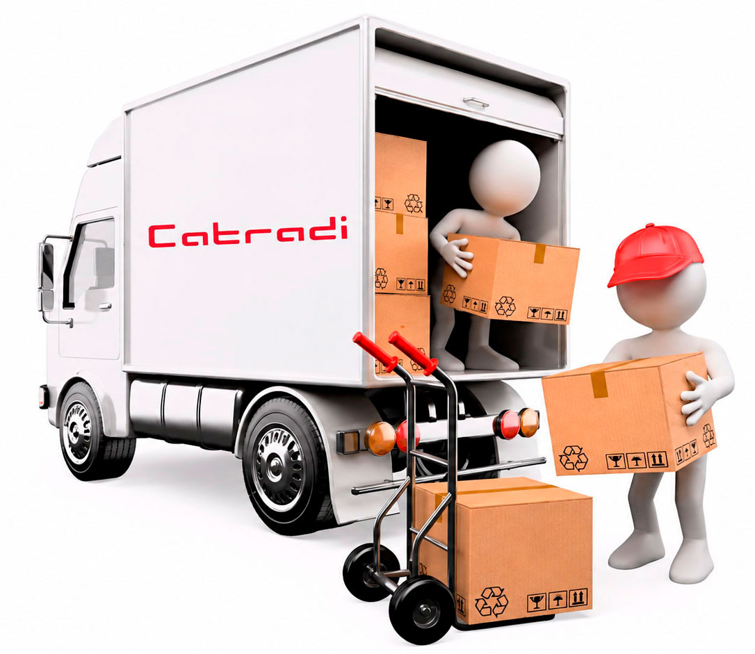 Operarios de Catradi cargando cajas en un camión de mudanzas